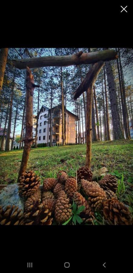 Apartman Pavle Zlatibor Buitenkant foto