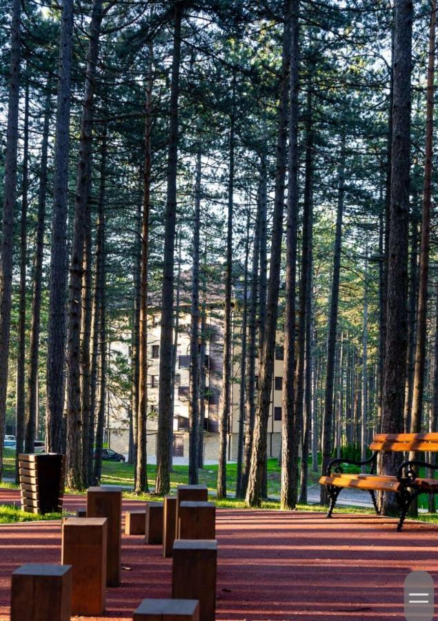 Apartman Pavle Zlatibor Buitenkant foto