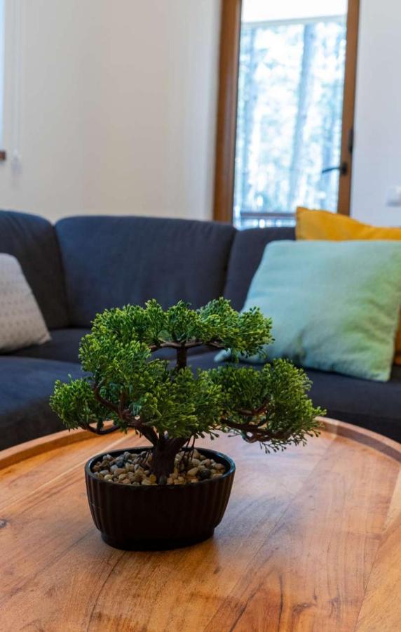 Apartman Pavle Zlatibor Buitenkant foto