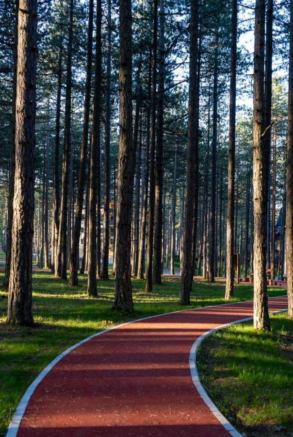 Apartman Pavle Zlatibor Buitenkant foto