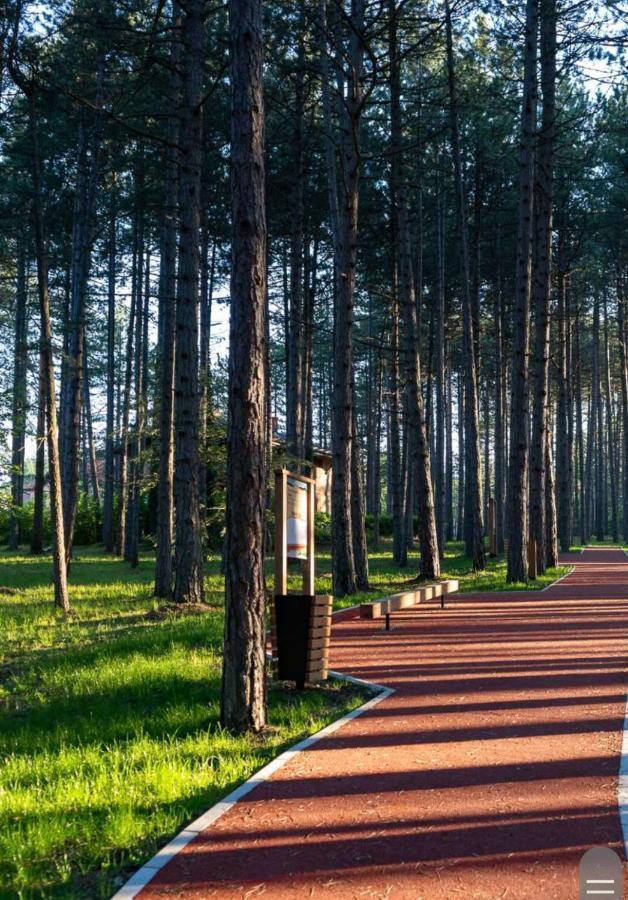 Apartman Pavle Zlatibor Buitenkant foto
