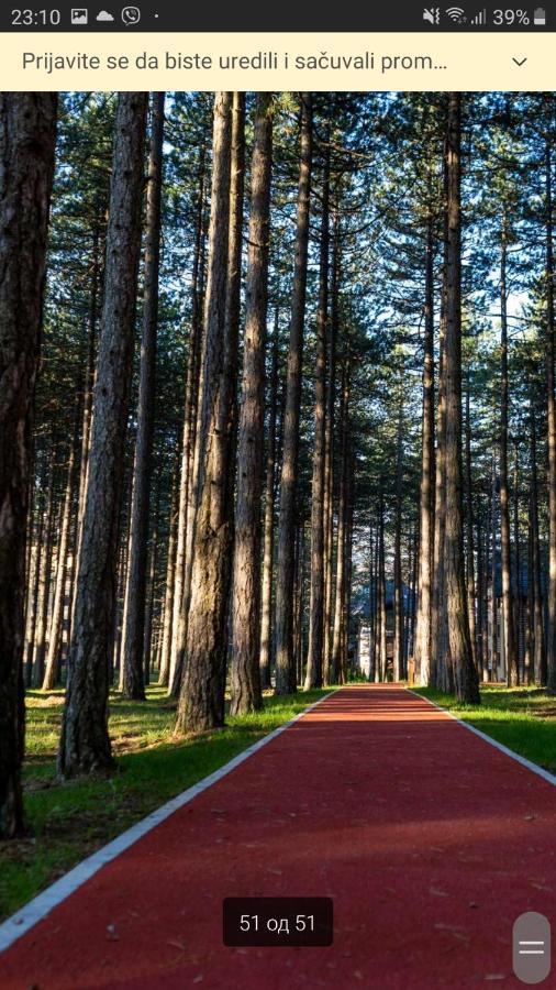 Apartman Pavle Zlatibor Buitenkant foto