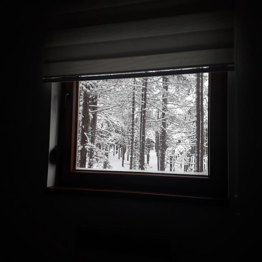 Apartman Pavle Zlatibor Buitenkant foto